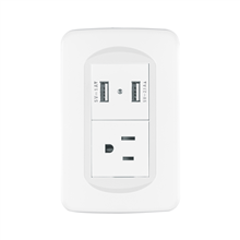 Placa Armada 1contacto Y 2 Puertos Usb 1.5 Módulos Toledo