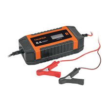Cargador Y Mantenedor Automático de Baterías 8 A 12v Y 24v