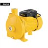 Bomba Centrífuga para Agua Modelo Europeo 1 HP Pretul