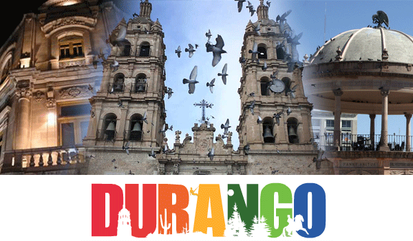 Diprofer en Truper Durango